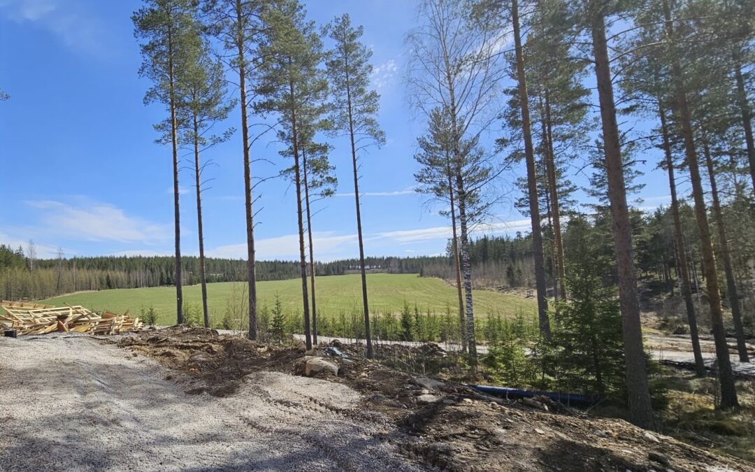 Yritteliäisyydellä huomiseen