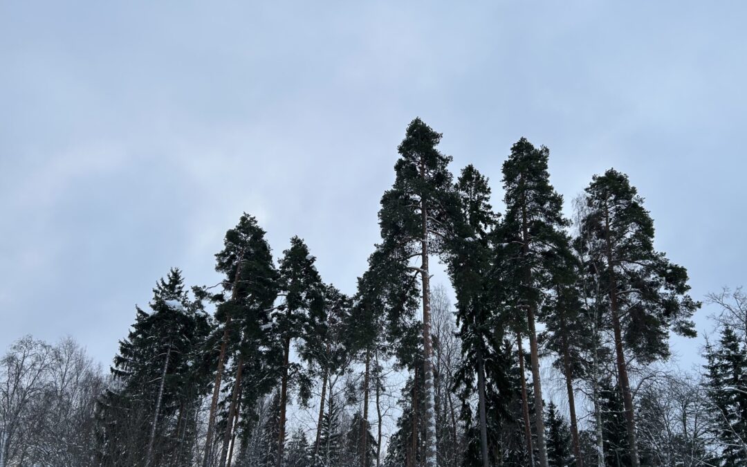 Kasvamme syvyyttä, ja se on kaikkein tärkeintä