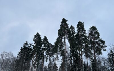 Kasvamme syvyyttä, ja se on kaikkein tärkeintä